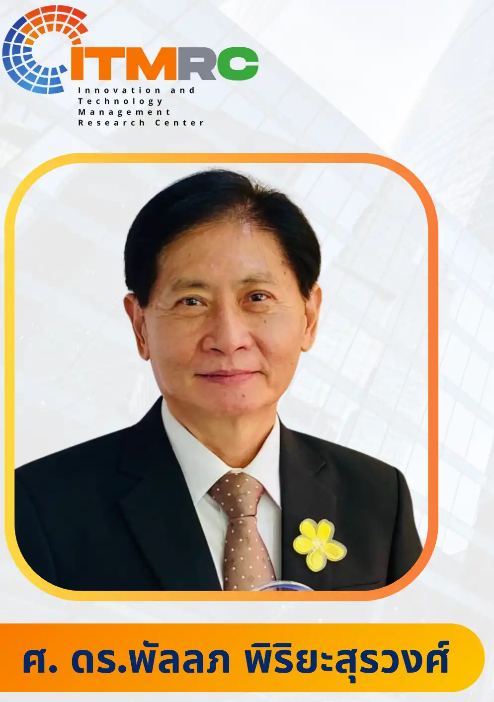 ศาสตราจารย์ ดร.พัลลภ พิริยะสุรวงศ์